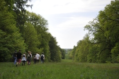 53.Randonnee-en-foret-de-Retz-©-OT-Retz-en-Valois-2-1