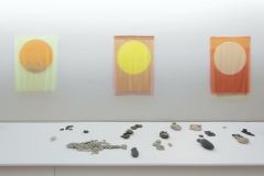 MACS-Vue-de-lexposition_Lionel-Esteve.Les-Saisons_Photo-Isabelle-Arthuis_06-1
