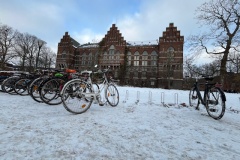 4-University-Library_credit-Noah-Nielsen