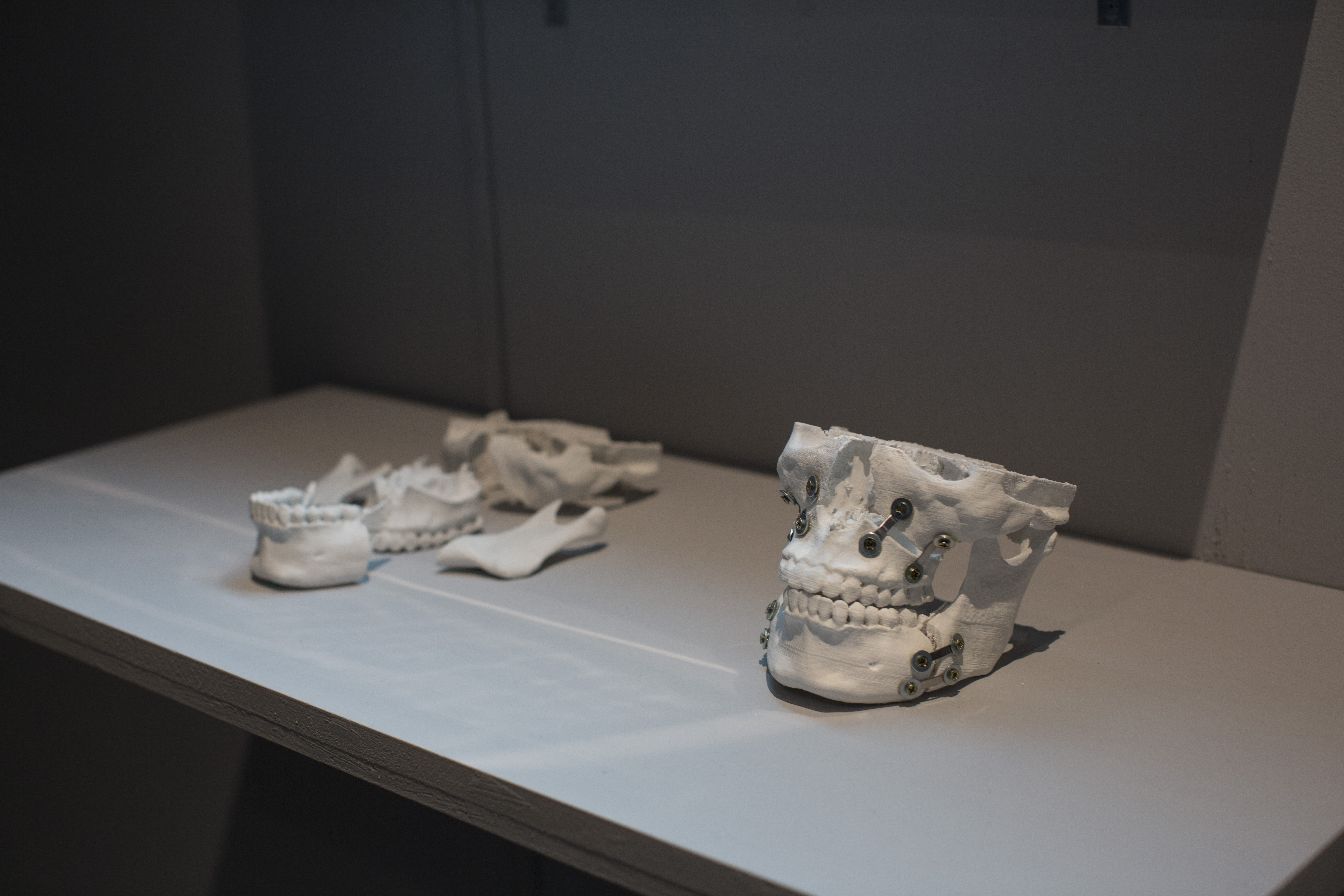 CID_SPD21_Kuang_Yi_Ku_The_Fellatio_Modification_Project_2015