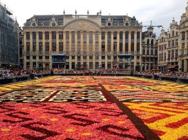 Brussels Flower Carpet