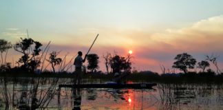 Botswana: Safari as it should be BOTSWANA