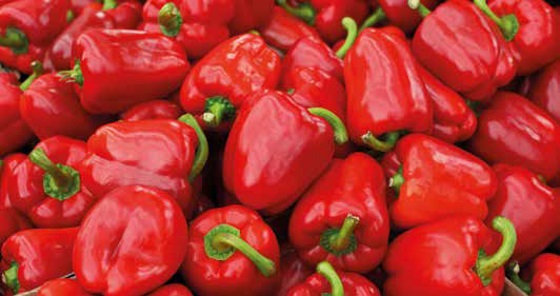 NUTRITION red peppers