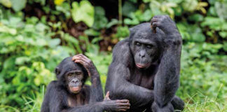 Empathy advice: Care for others, care for ourselves