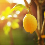 Personal Development: Messages From Nature