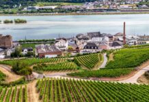 German wines Rudesheim Rhein-Hesse