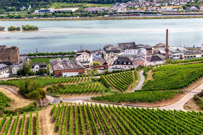 German wines Rudesheim Rhein-Hesse