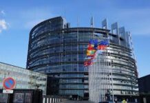Female MEPs targeted by “digital violence”