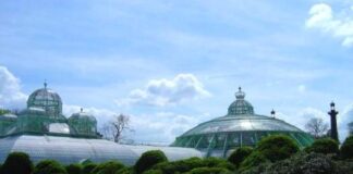 Laeken greenhouses set to open to the public