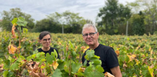 Reconnecting with nature…. in Brussels