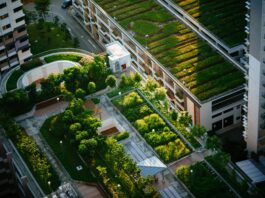 Green Living in Belgium: How Sustainability Is Transforming the Property Market