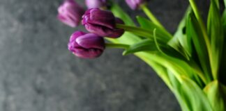 Blueberries: The Powerful Superfood for Heart, Brain, and Long-Term Health Blueberry smoothie in wine glasses with fresh blueberries and purple tulips in the background
