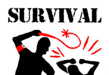 New book tells harrowing story of Belgians’ forced labour in WW2