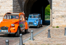 Heritage, shops, great cuisine and a pigeon monument … Lille has it all
