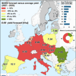 Crops in Belgium at risk due to heatwaves