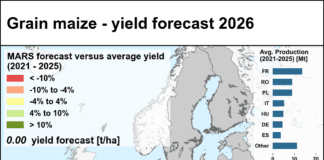 Crops in Belgium at risk due to heatwaves