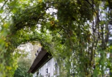 Autumn in Scandinavia? Give it a try