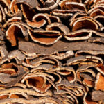 Cork design: A Natural Choice