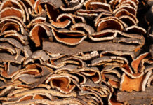 Cork design: A Natural Choice