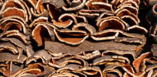 Cork design: A Natural Choice