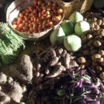 Food futures: World Food Day 2026