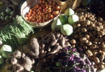 Food futures: World Food Day 2026