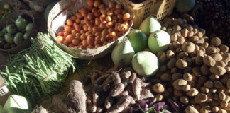 Food futures: World Food Day 2026