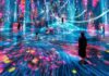 teamLab Tokyo: Immersive Art