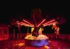 Ibilaw brings Halloween nightmares to Walibi Belgium