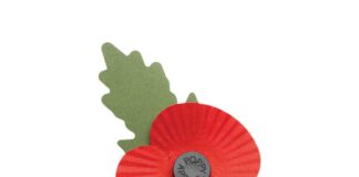Volunteers needed for annual Poppy Appeal in Belgium