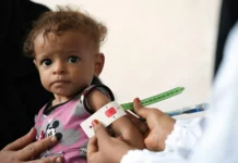 More need to help tackle maternal and child health issues, conference told