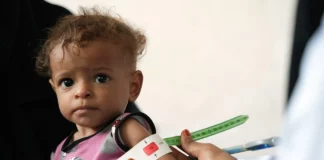 More need to help tackle maternal and child health issues, conference told