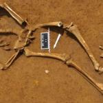 A soldier named C.B. unearthed at Waterloo