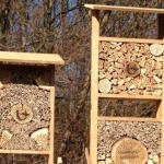 Bee hotels for Antwerp