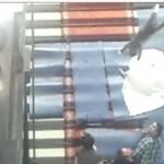 Cat hurling ‘art’ causes row in Antwerp