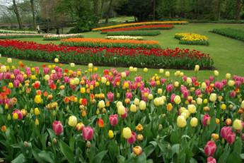 10th edition “Floralia Brussels”